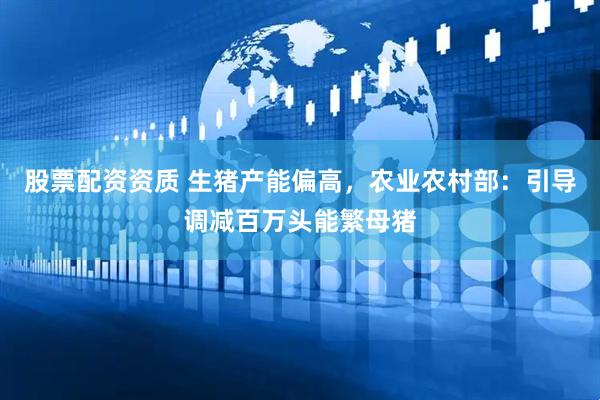 股票配资资质 生猪产能偏高，农业农村部：引导调减百万头能繁母猪